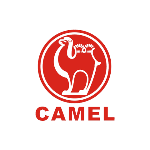 CAMEL 駱駝