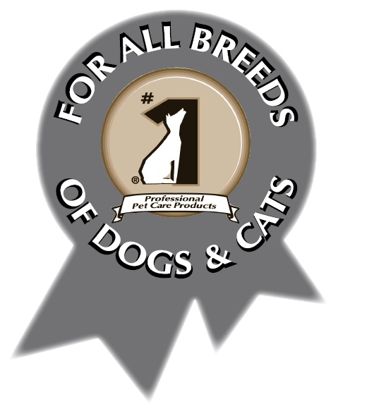 #1 All Systems 頂間