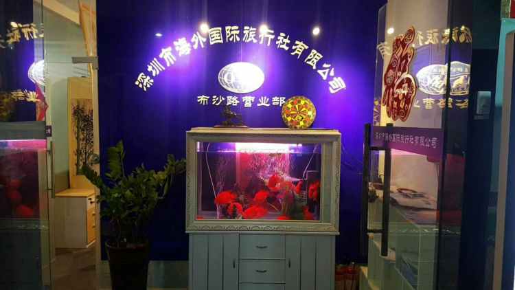 深圳海外國(guó)際旅行社