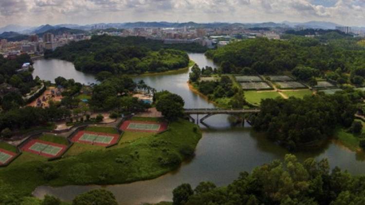 觀瀾湖度假酒店