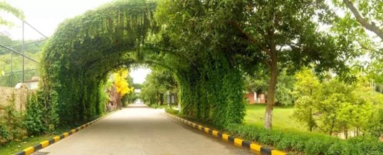 桃源居中澳實驗學(xué)校