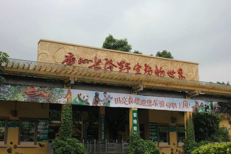 長(zhǎng)隆野生動(dòng)物園丨長(zhǎng)隆飛鳥(niǎo)樂(lè)園