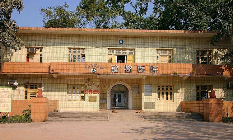 華南農(nóng)業(yè)大學動物醫(yī)院