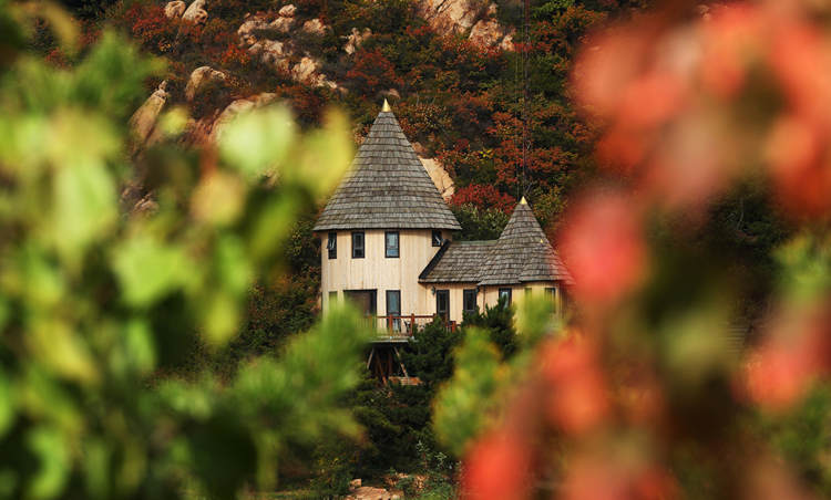 云峰山童話樹屋