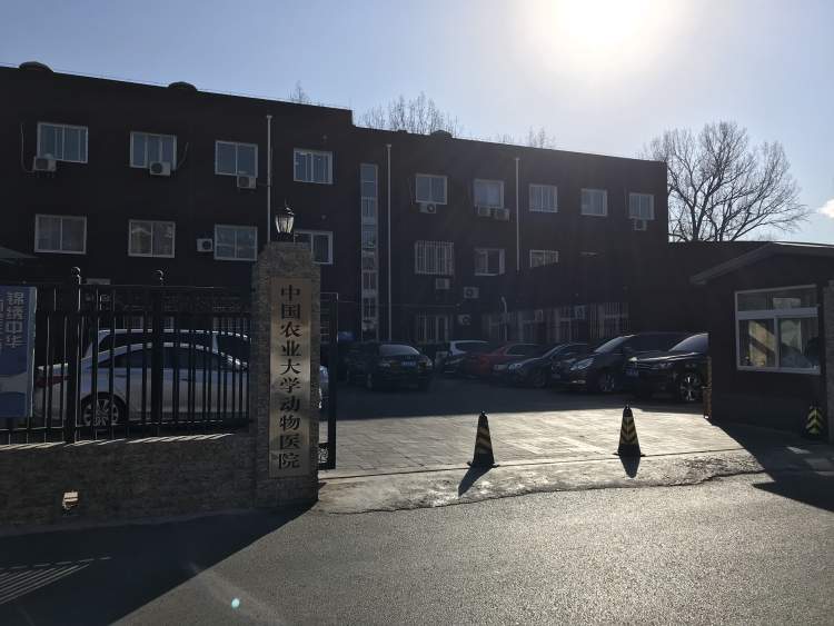 中國(guó)農(nóng)業(yè)大學(xué)動(dòng)物醫(yī)院