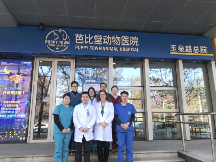 芭比堂動(dòng)物醫(yī)院