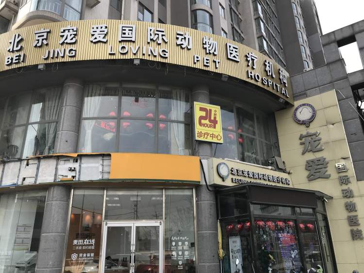 寵愛國(guó)際動(dòng)物醫(yī)院