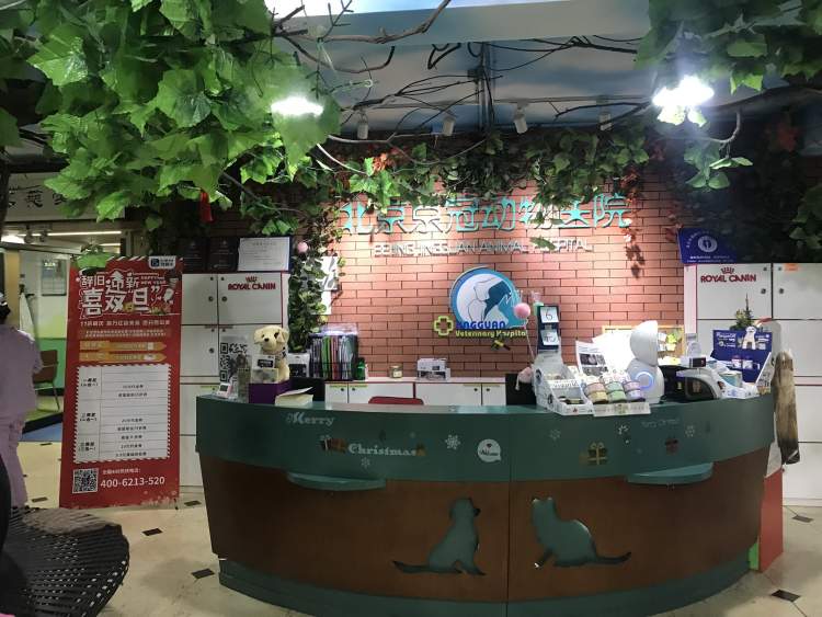 寵頤生動(dòng)物醫(yī)院北京京冠分院