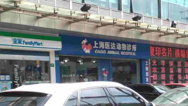 醫(yī)達動物診所