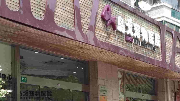 島戈動物醫(yī)院