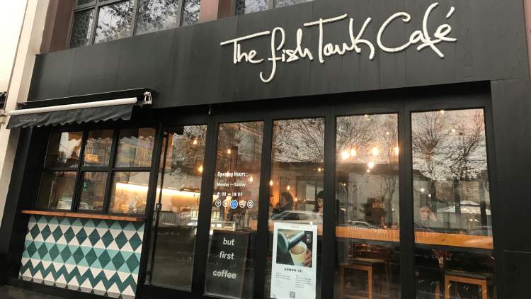 FishTank魚缸咖啡