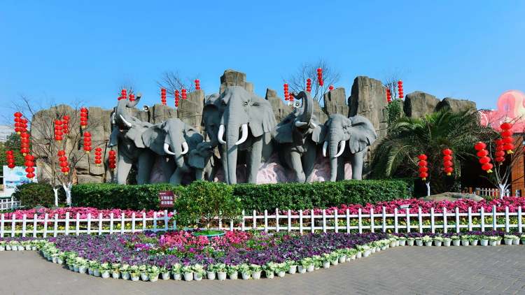 長沙生態(tài)動物園