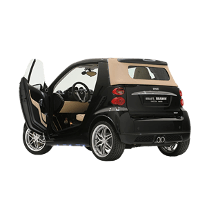 新能源汽車十大品牌