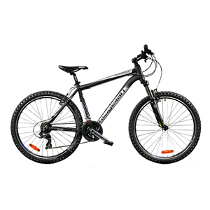 自行車十大品牌